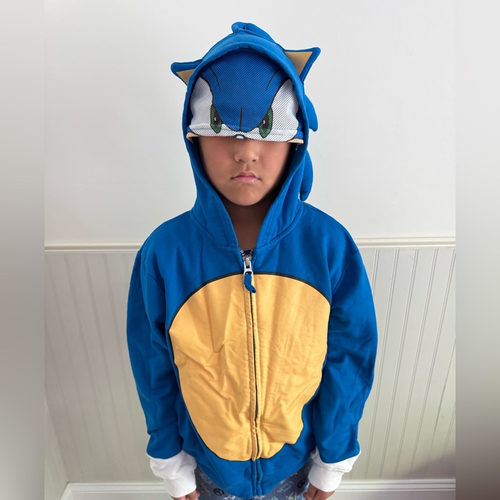 Boys Sonic the Hedgehog Blue Hoodie
